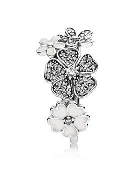 Giving Fairness Affilia