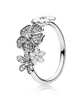 Giving Fairness Affilia