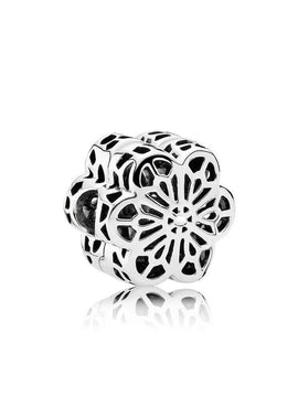 Scalable Citizenry Political